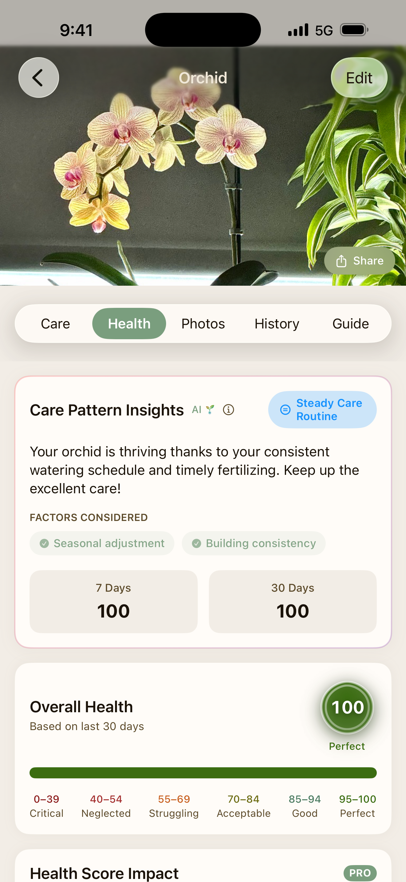 Green Thumb screenshot 2